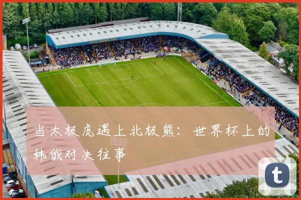 当太极虎遇上北极熊:世界杯上的韩俄对决往事